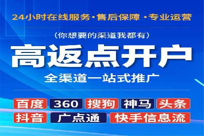行业领先企业的SEM运营策略案例解析